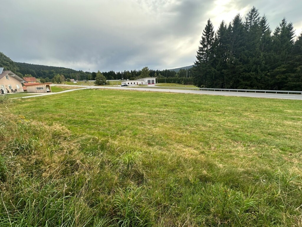 Altreichenau - Baugrundstück Gemeinde Neureichenau Nähe Altreichenau