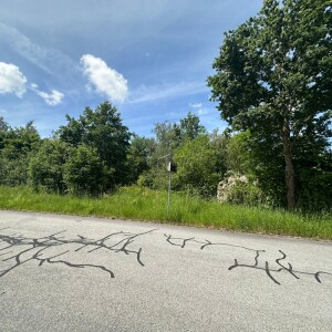 Ansicht (1)