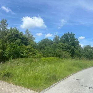 Ansicht (2)