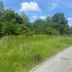 Ansicht (4)