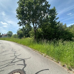 Ansicht (5)