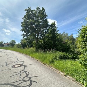 Ansicht (6)