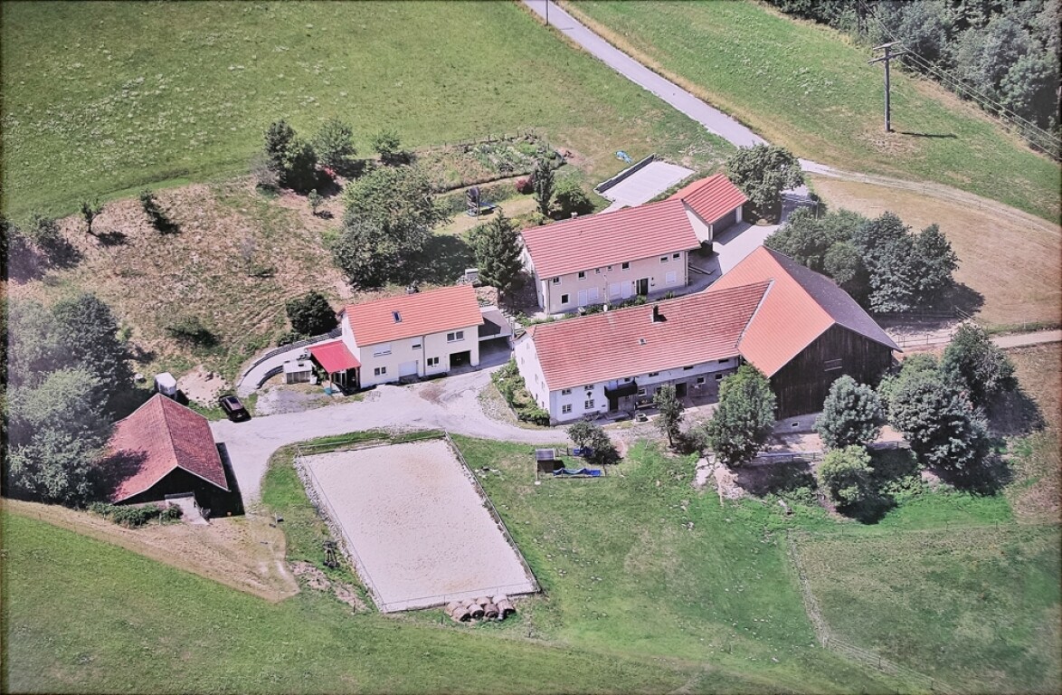 Passau - Einfamilienhaus/Anwesen mit Nebengebäuden in einmaliger Liebhaberlage – über Passau – Bereich Oberhaus