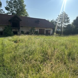 Grundstück (4)
