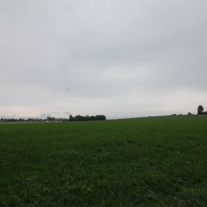 Ansicht (1)
