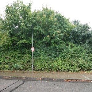 Ansicht (2)