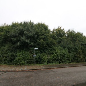 Ansicht (4)