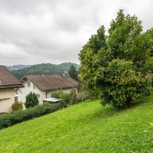 Garten (3)