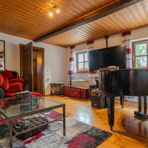 Wohnzimmer (2)