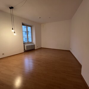 Wohn-Koch-Schlafbereich (1)