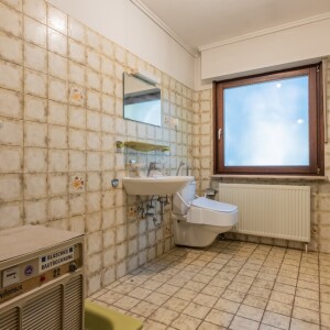 Tageslichtduschbad (1)