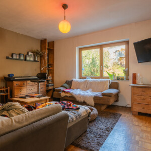 Wohnzimmer (1)