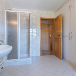 Tageslichtduschbad (2)