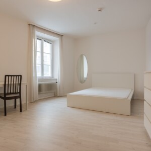 Wohn-Schlafkochbereich (2)