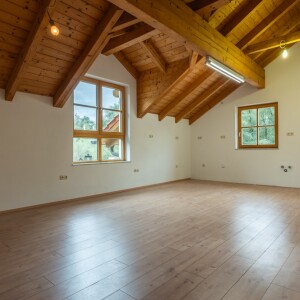 Wohn-Kochbereich (5)