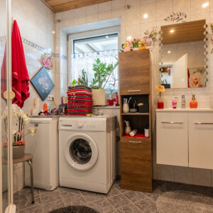 Tageslichtduschbad (1)