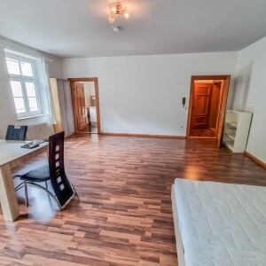 Wohn-Schlafbereich (2)