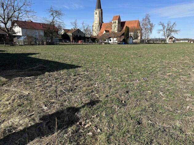 Baugrundstück - Baugrundstück Nähe Bad Füssing/Aigen am Inn