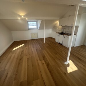 Wohn-Schlaf-Kochbereich (2)