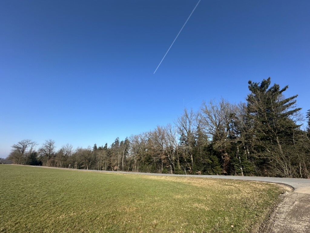 Tiefenbach - Waldgrundstück bei Tiefenbach
