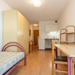 Wohn-Schlaf-Kochbereich (1)