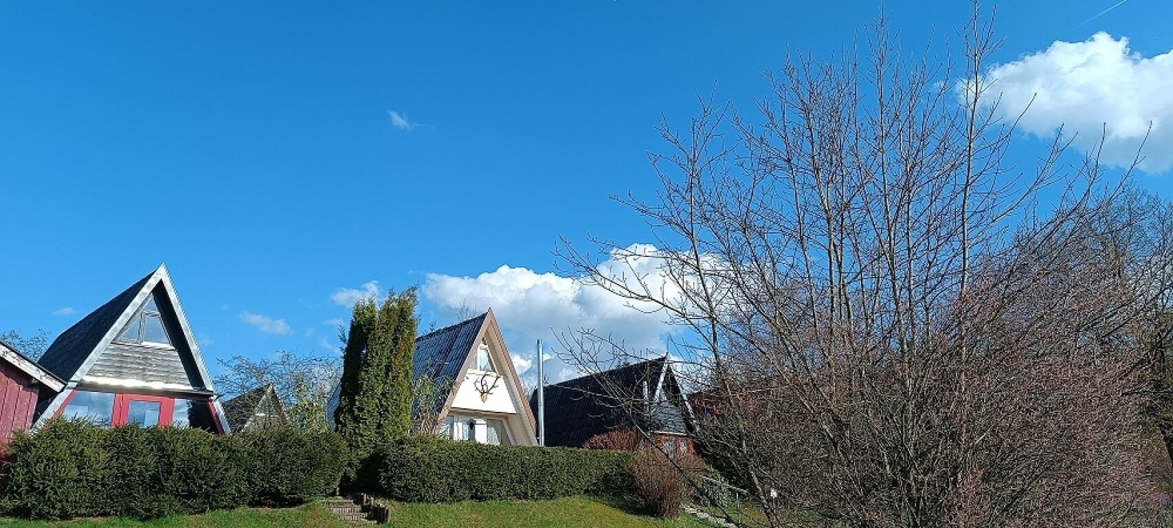 Waldkrichen-Erlauzwiesel:Stilvolles Ferienhaus mit Top-Bewertungen & laufenden Einnahmen