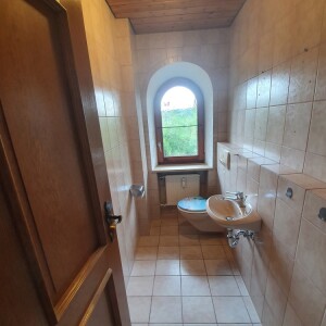Gäste-WC (2)