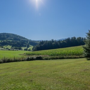 Ausblick 