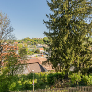 Ausblick