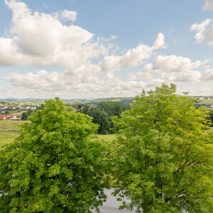 DSC_2420-HDR-web