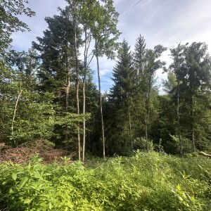 Ansicht (5)
