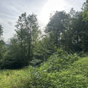 Ansicht (6)