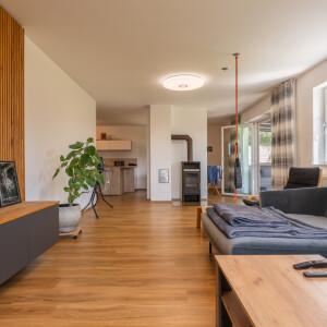 Wohnzimmer (2)