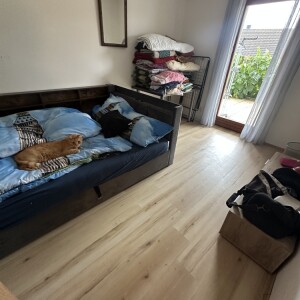 Arbeitszimmer