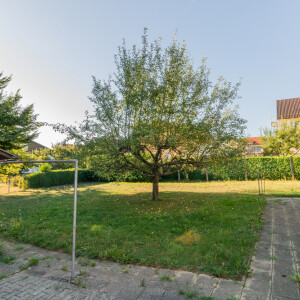 Garten (1)