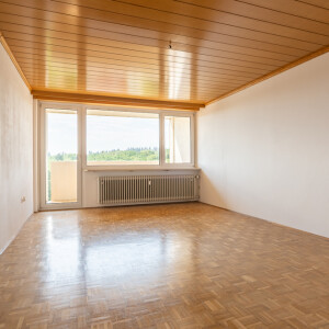 Wohnzimmer (1)