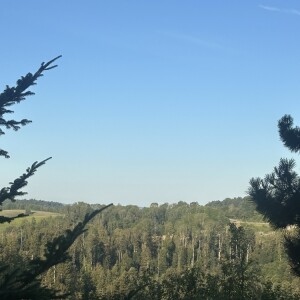 Ausblick (2)