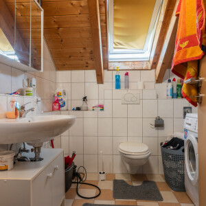 Tageslichtduschbad DG