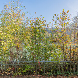 Innblick (2)