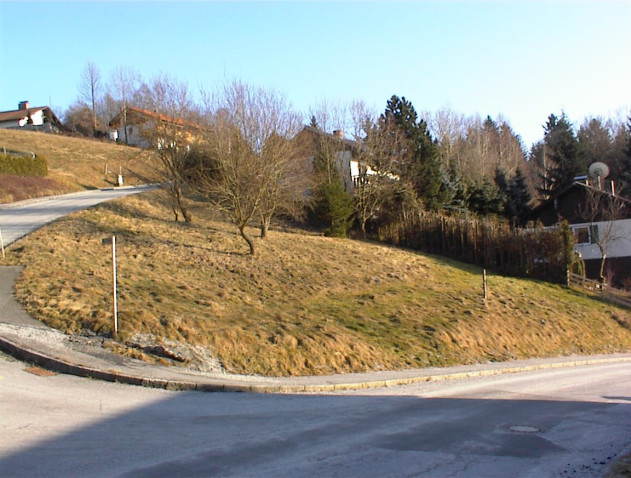 Baugrundstück - Baugrundstück Nähe Büchlberg in Denkhof