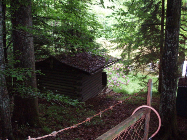 kleines Freizeitgrundstück  - Kleines Freizeitgrundstück mit Holzhütte Passau/Gaißa 