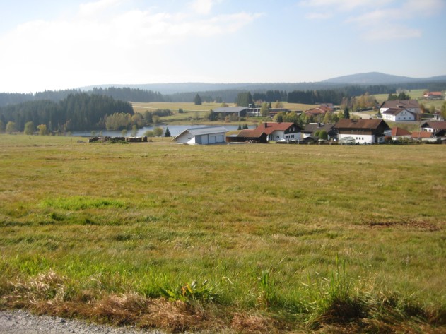 Wiesengrundstück - Haidmühle: Wiesengrundstück