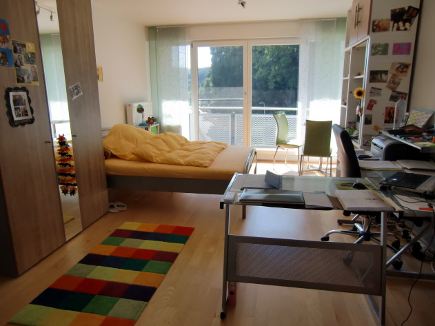 1-Zimmer-Appartement - Großzügiges 1-Zimmer-Appartement mit Tageslichtbad, offener Küche, sonniger Westloggia in Passau-Inn