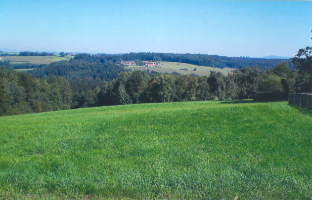Baugrundstück - Günstiges Baugrundstück für Einfamilienhaus