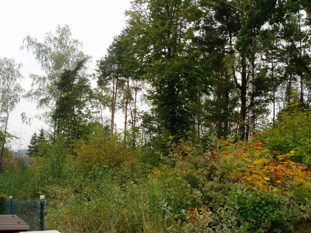 Baugrundstück - VOLLTREFFER: Bauplatz in traumhafter Lage 