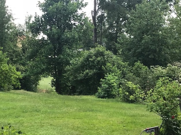 Baugrundstück - Passau-Freinberg Oberösterreich: Baugrundstück