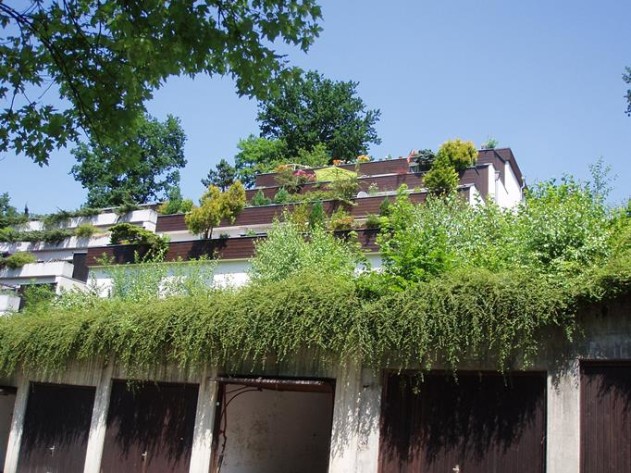 1-Zimmer-Penthuseappartement - Der Traum aller Studenten