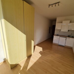 Wohn-Schlaf-Kochbereich (1)