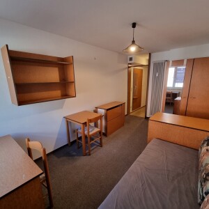 Wohn-Schlafbereich (2)