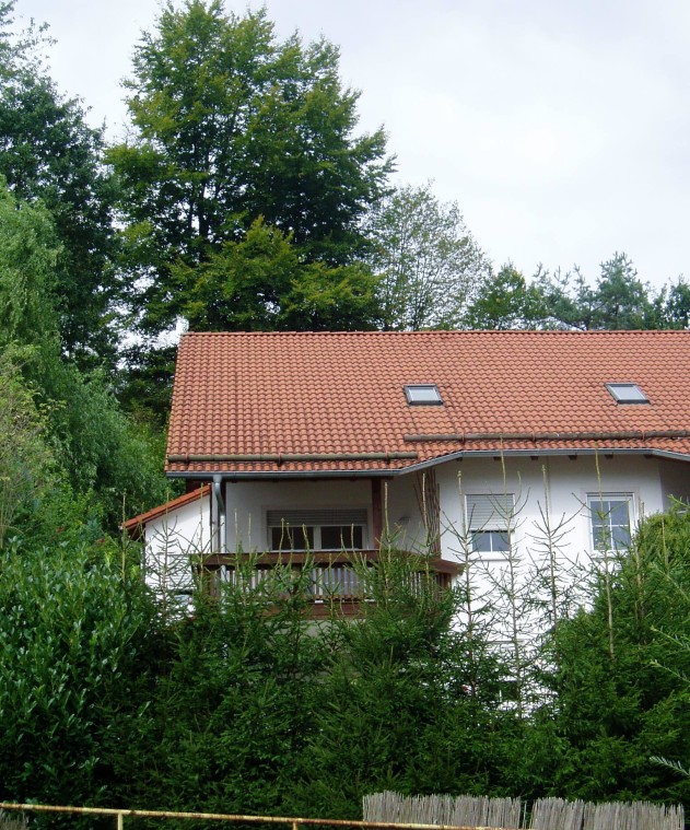 Doppelhaushälfte - Zu Fuß oder mit Fahrrad ins Stadtzentrum/zur UNI /ins Klinikum, aber in nur 5 Minuten mitten im Wald